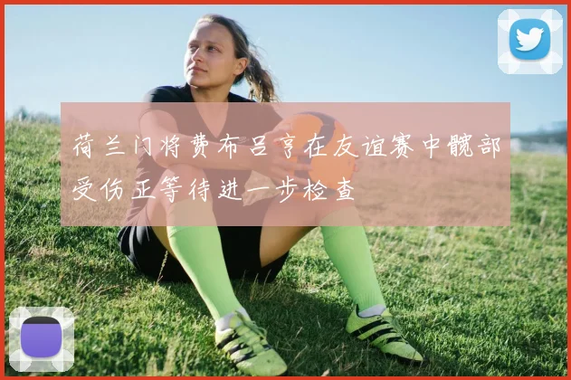 荷兰门将费布吕亨在友谊赛中髋部受伤正等待进一步检查