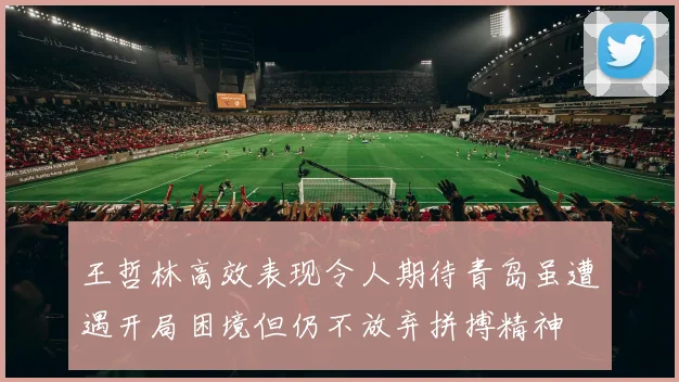 王哲林高效表现令人期待青岛虽遭遇开局困境但仍不放弃拼搏精神
