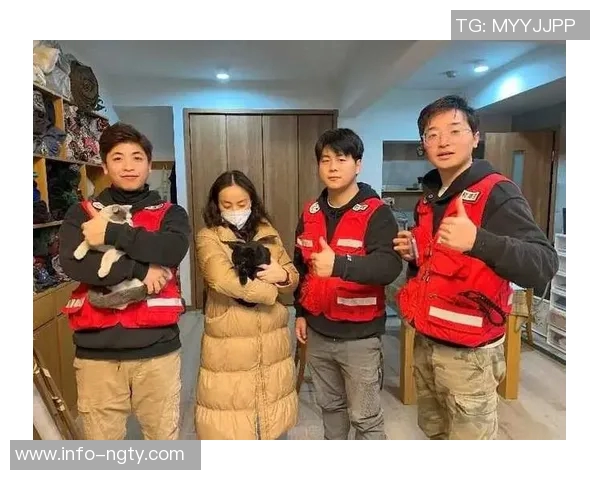 四川男篮积极行动救助流浪猫计划后续妥善安置关爱生命